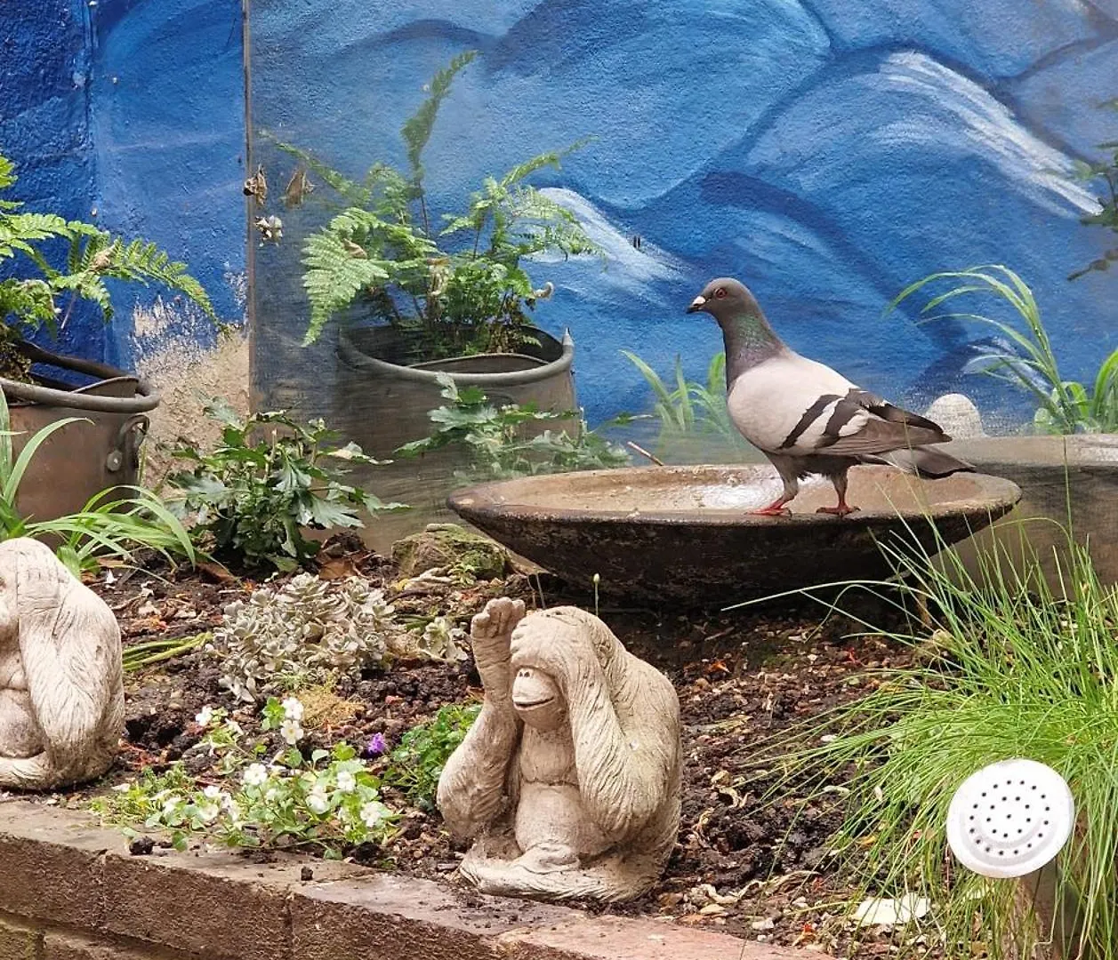 Molly Marine - Bespoke 2 Bedroom Courtyard Apartment - 1 Minute From Brighton Pier 0*,